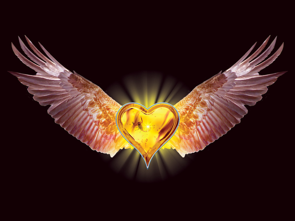 Eagle Heart wallpaper