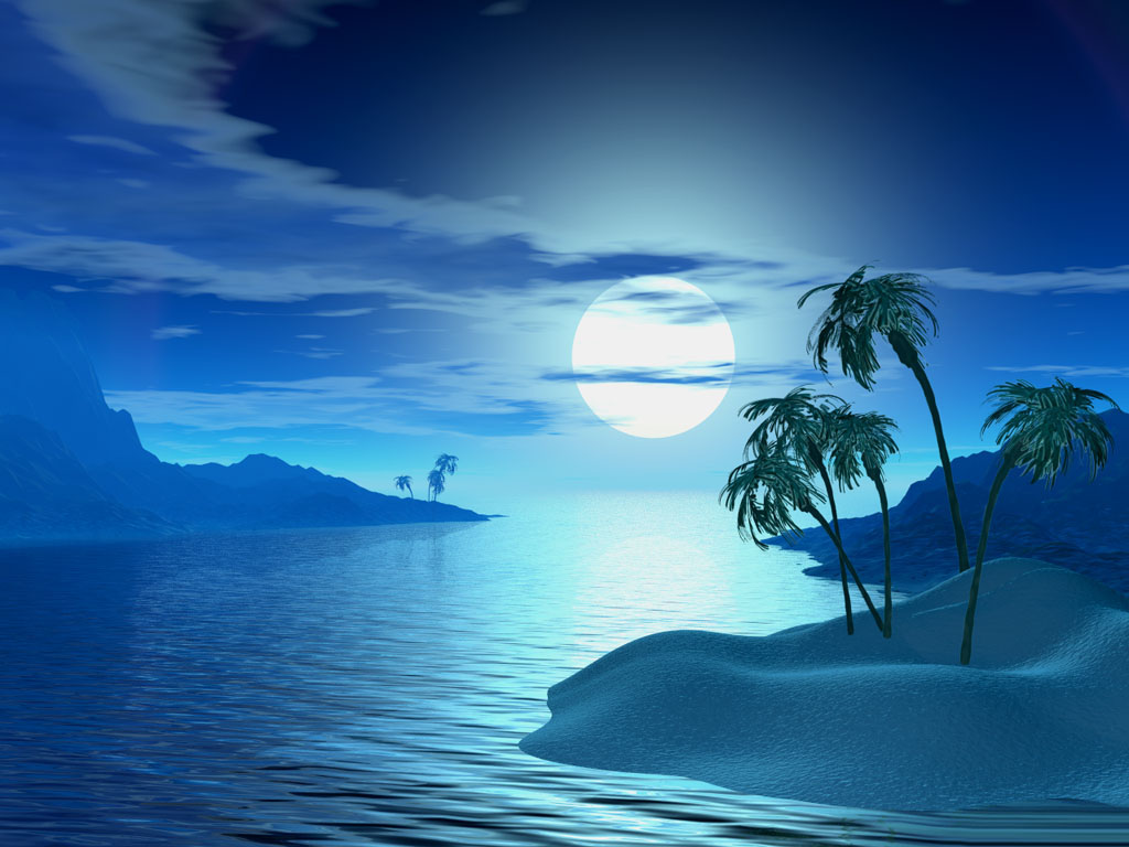 Tropic Night wallpaper