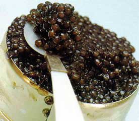 Imitatie de icre negre